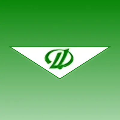 Логотип Дальневосточный центр производительности